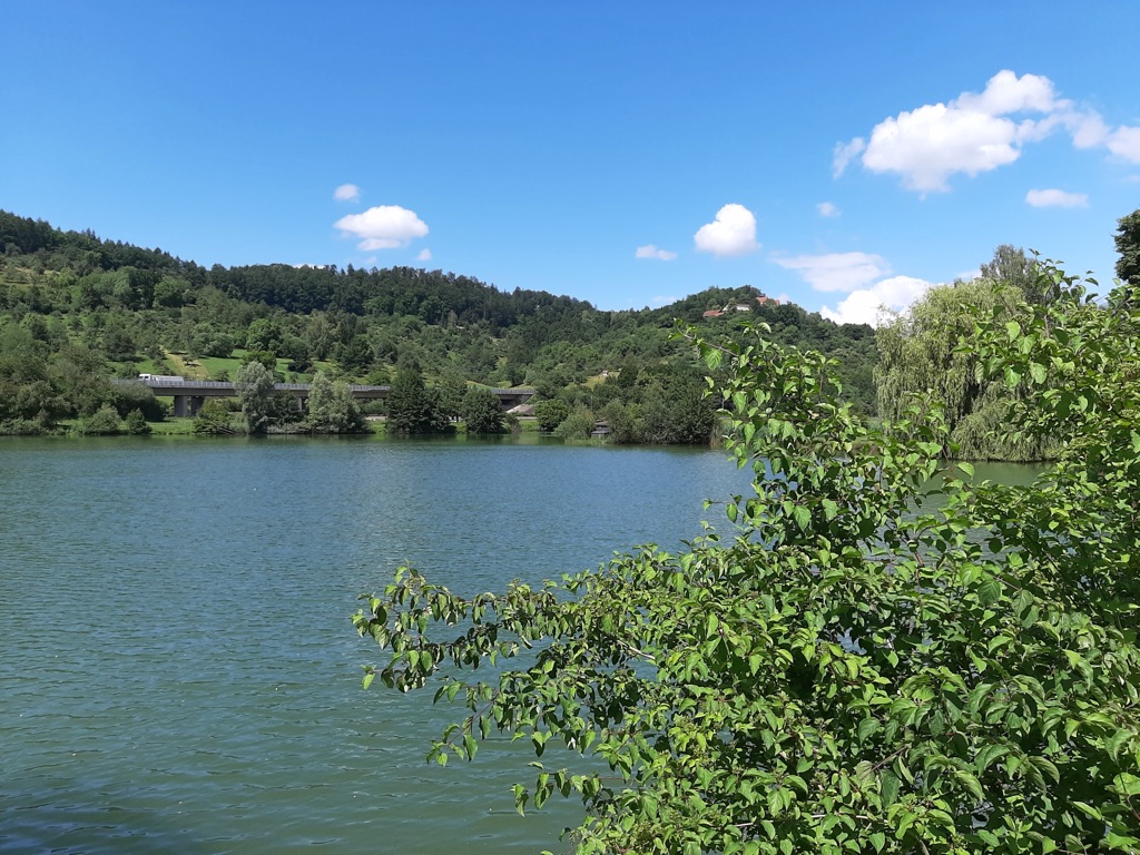 Blaualgen im See: Wann kann man sicher baden?