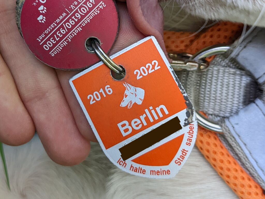 Hundesteuer bringt rund 430 Millionen Euro ein